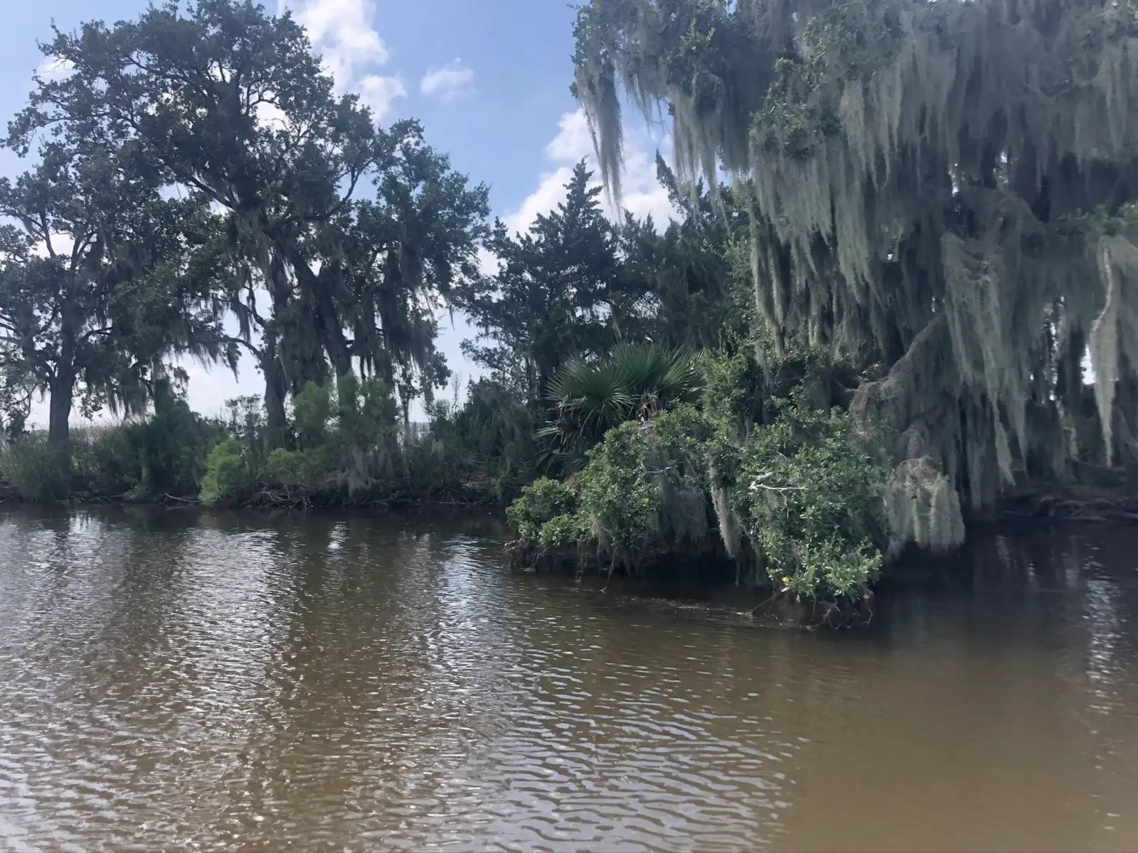 Top Water Outfitters